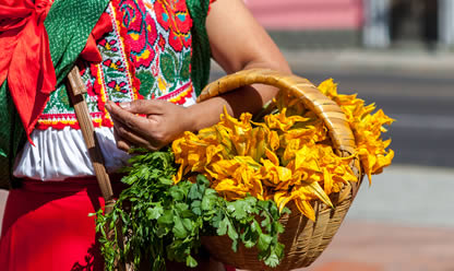 Viajes a MÉXICO LINDO 2025 en español | Agencia de Viajes Festival Viajes a MÉXICO LINDO 2025 en español | Agencia de Viajes Festival